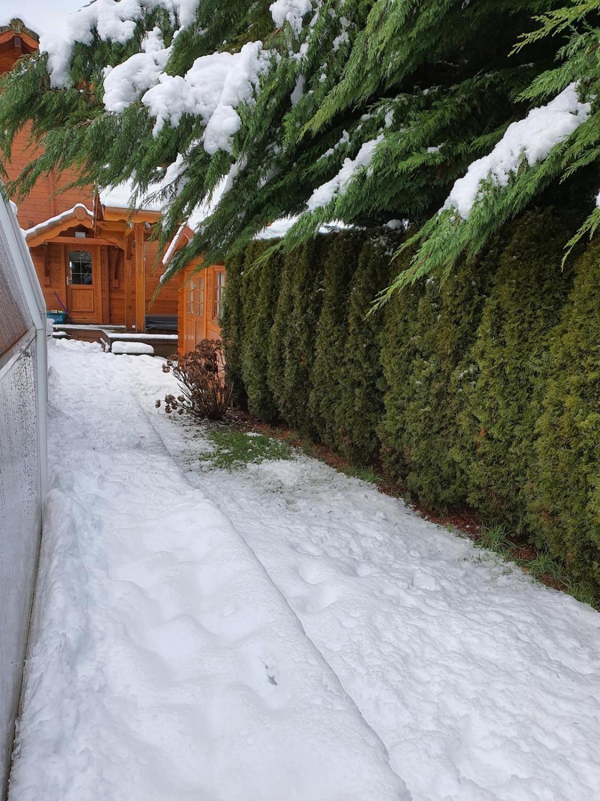 Chalet Matteo Laveline Exterior photo